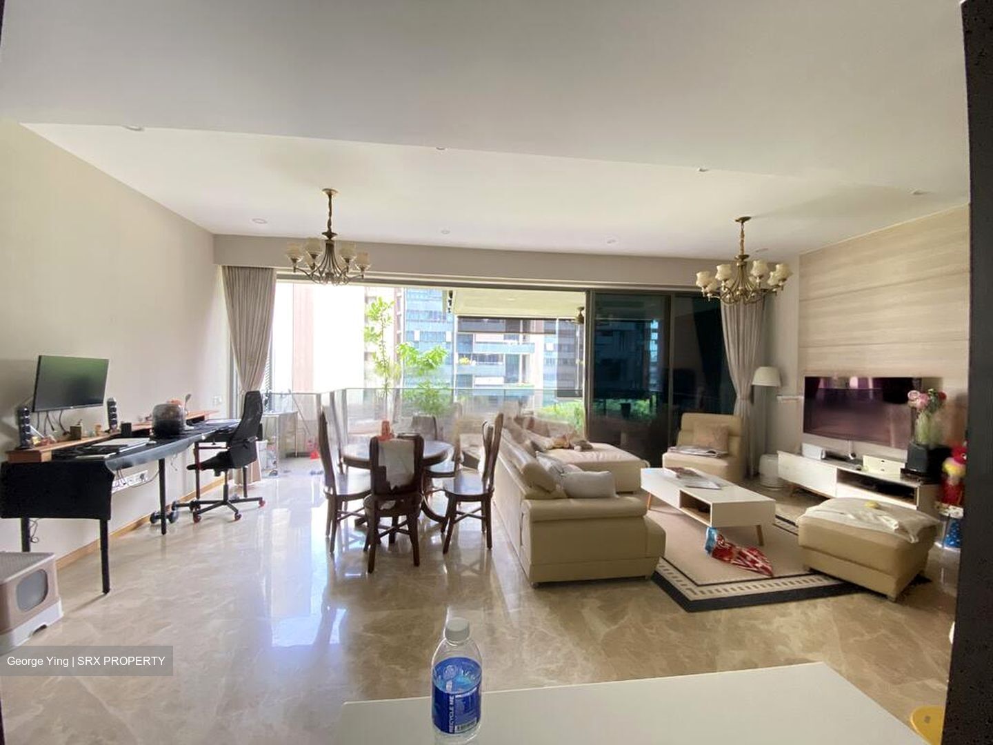 Leedon Residence (D10), Condominium #474653931